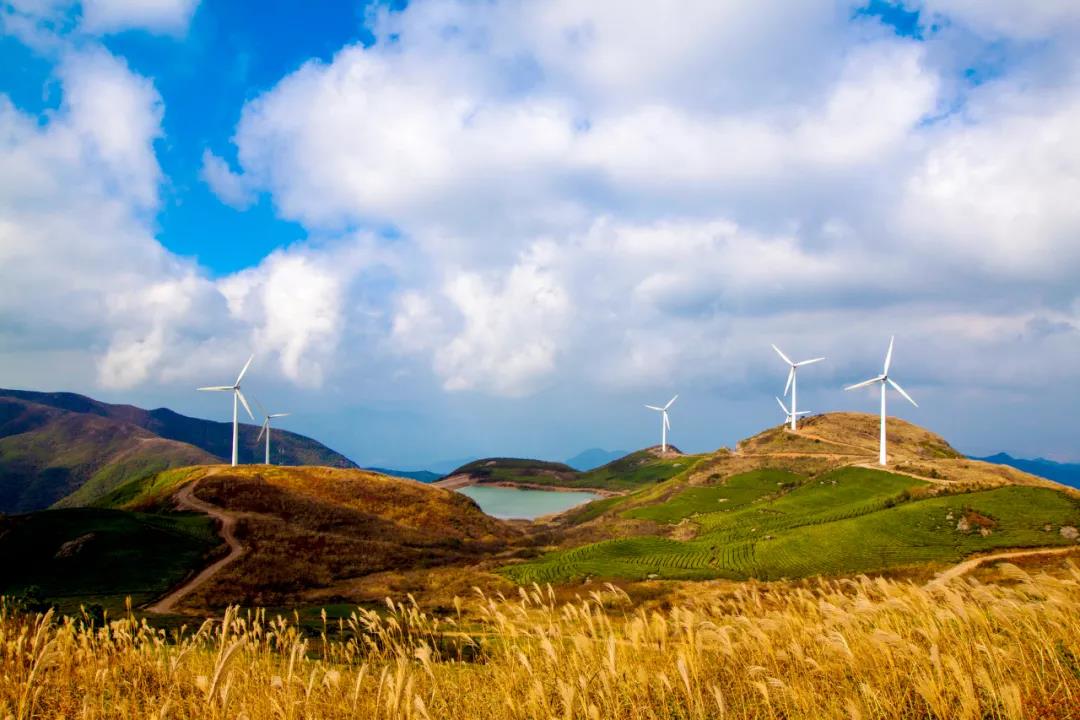 風(fēng)電產(chǎn)業(yè)